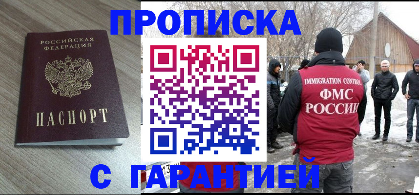 прописка 2025 в Кингисеппе